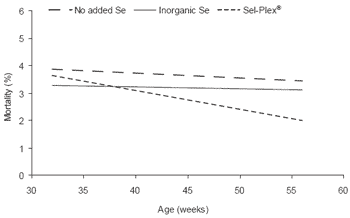 Reproductive responses to Sel-Plex® organic selenium in male and female broiler breeders: impact on production traits and hatchability - Image 6