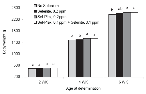 Involvement of Sel-Plex in physiological stability and performance of broiler chickens - Image 3