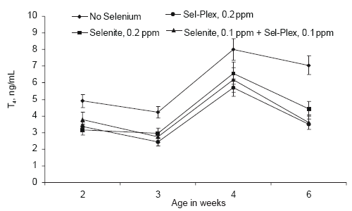 Involvement of Sel-Plex in physiological stability and performance of broiler chickens - Image 10