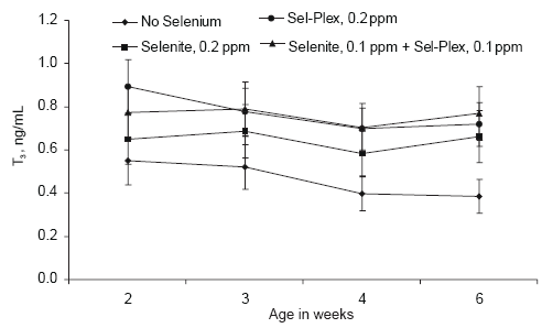 Involvement of Sel-Plex in physiological stability and performance of broiler chickens - Image 11