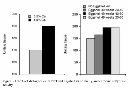 Effects of Eggshell 49, dietary calcium level and hen age on performance and egg shell quality - Image 2