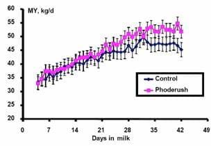 Optimizing physiological potential in early lactation - Image 4