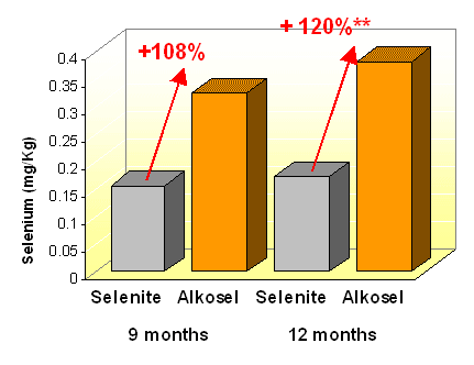 Benefits of selenium yeast in pig production - Image 3