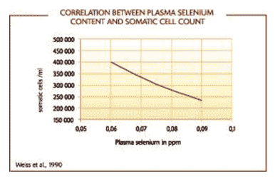 The role of selenium yeast in ruminants - Image 2