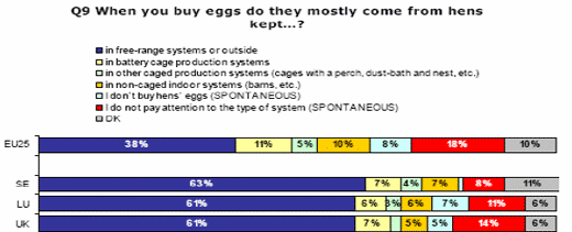 Socio-economic implications of the different systems of egg production - Image 2