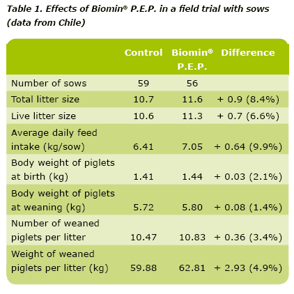 Biomin® P.E.P. : Unlocking Performance in Sow Nutrition - Image 5