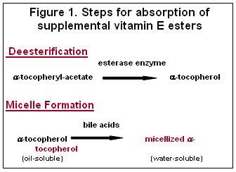 Importance of form and source of vitamin E for swine - Image 3