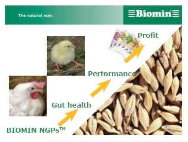How profitable are BIOMIN NGPsTM in times of increasing feed costs? - Image 10