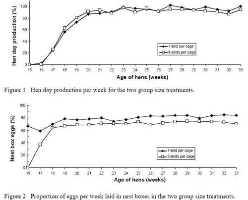 The effects of group size on the proportion of nest box eggs laid by hens in cages - Image 1
