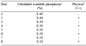 Optimization of dietary phosphorus for broiler breeders and their progeny - Image 1