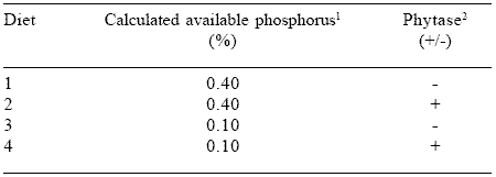 Optimization of dietary phosphorus for broiler breeders and their progeny - Image 4