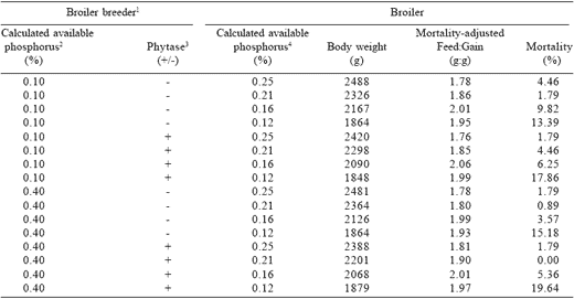 Optimization of dietary phosphorus for broiler breeders and their progeny - Image 7