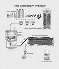 Yeast Products in the Feed Industry: A Practical Guide for Feed Professionals - Image 7