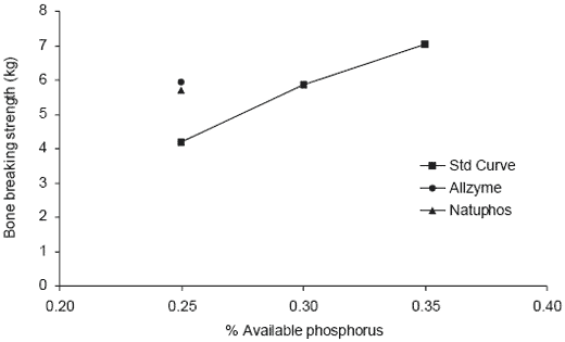 Effects of application variation and side activities on the efficacy of phytase in broiler diets - Image 11