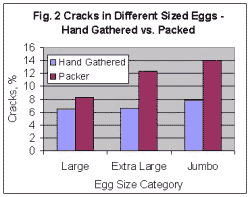 Egg Size and Shell Damage - Image 3