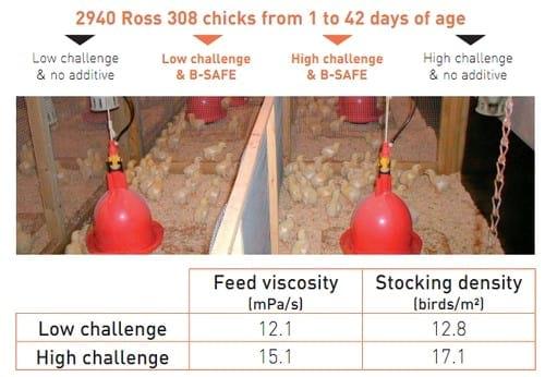 In vitro and In vivo Antimicrobial Effect of a Patented Activated Clay and its Consequence on Broilers Performance - Image 2
