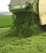 Cultivated Pastures: Expert Advice – On the Way towards Top Quality Silage - Image 2