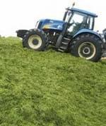 Cultivated Pastures: Expert Advice – On the Way towards Top Quality Silage - Image 1