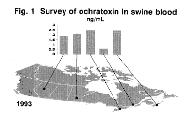 Mycotoxins in Swine Feed - Image 1
