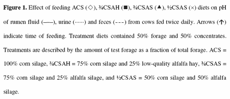 Effect of Corn Silage Diets to Dairy Cows - Image 11