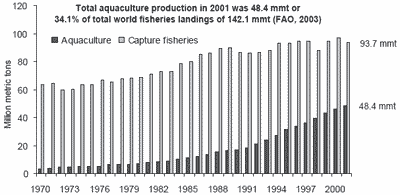 Fish meal and fish oil use in aquaculture: global overview and prospects for substitution - Image 1