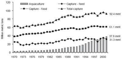 Fish meal and fish oil use in aquaculture: global overview and prospects for substitution - Image 17