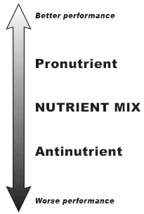 Optimizing the replacement of pronutrient antibiotics in poultry nutrition - Image 2