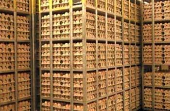 Storage of hatching eggs in the production process - Image 1