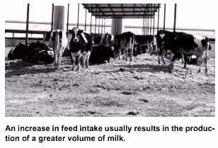 Managing Milk Composition: Maximizing Rumen Function - Image 1