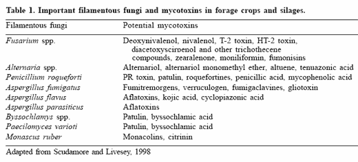 Mould growth and mycotoxin contamination of silages: sources, types and solutions - Image 1
