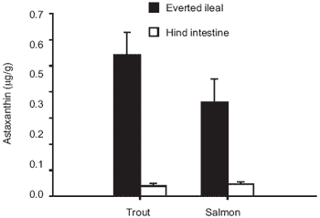 Physiological assessment of natural pigmenting carotenoid sources for salmonid fish: current research and future perspectives - Image 4