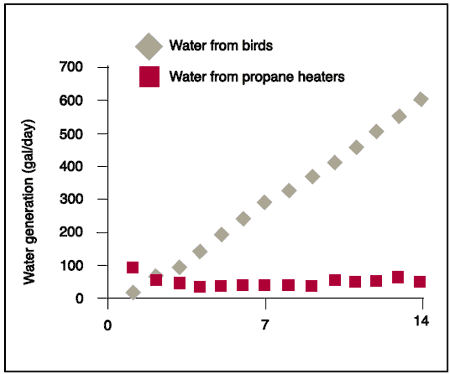 How Much Moisture Do Brooders Add to Poultry Houses? - Image 4
