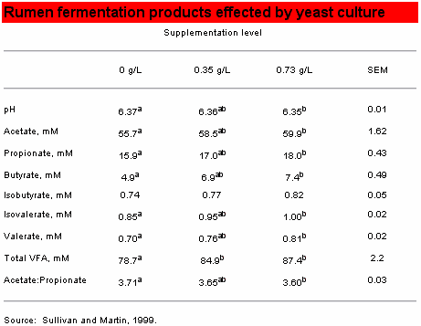 Use Yeast Culture to Feed the Rumen First - Image 4