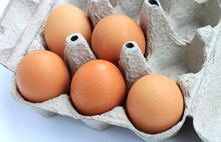 Food safety: Salmonella and Eggs - Image 1