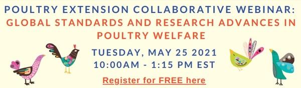 Free webinar: Global Standards and Research Advances in Poultry Welfare - Image 1