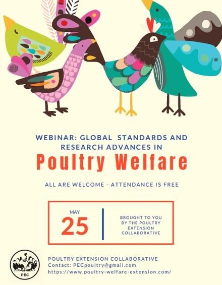 Free webinar: Global Standards and Research Advances in Poultry Welfare - Image 1