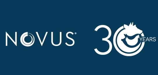 Novus celebrates anniversary this month, planning for a long future - Image 1