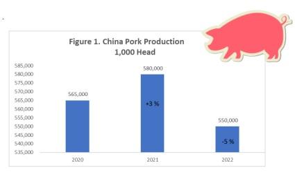China pork production: 2022 forecast - Image 1