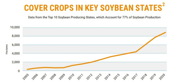 U.S. Soybean Farmers Use Cover Crops to Improve Soil & Protect Water - Image 1