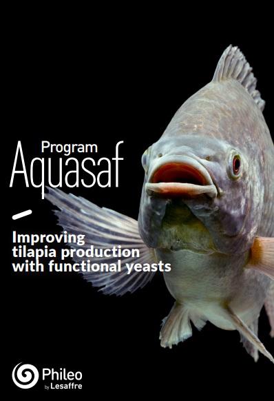 Improving tilapia production with functional yeasts - Image 1