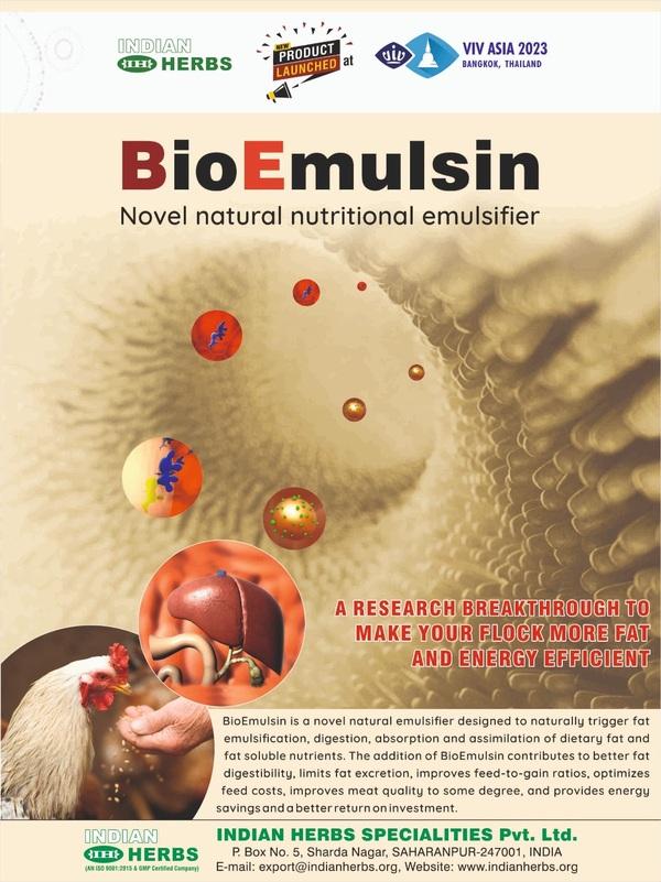 BioEmulsin - a Novel Natural Nutritional Emulsifier - Image 1