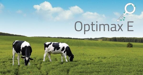New feed tech supports dairy net zero goals, higher milk yields - Image 1