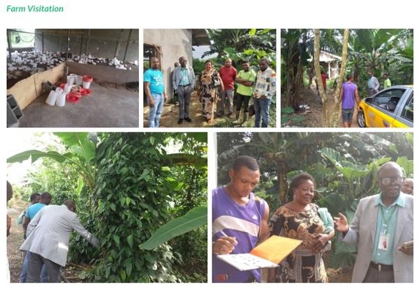 Empowering Livestock Livelihoods: Insights from the Poultry Health and Nutrition Training Program in Cameroon - Image 10