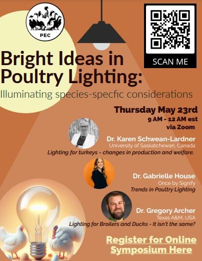 Online Symposium: Bright Ideas in Poultry Lighting - Image 1