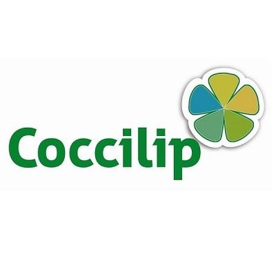 COCCILIP E