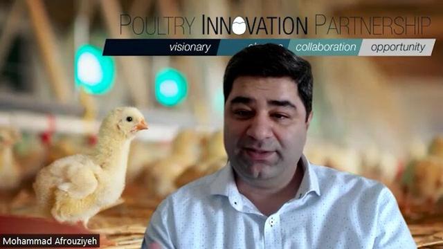 Importance of water in poultry production / Introducing the PIP Poultry Water App