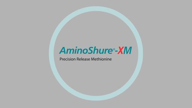 Precision Release Methionine: AminoShure-XM 