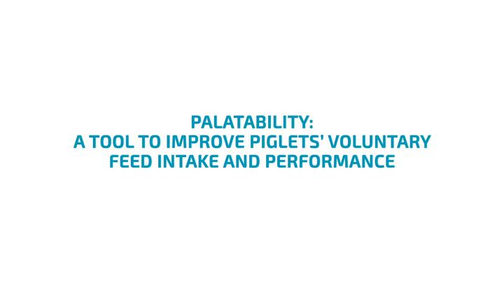 A tool to improve piglets voluntary feed intake and performance
