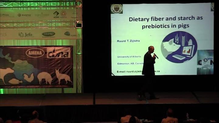 Ruurd Zijlstra talks about dietary fiber and starch as prebiotics in pigs