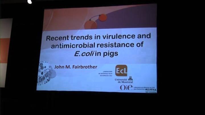 Dr. Fairbrother explains trends in virulence and antimicrobial resistance of E. coli in pigs